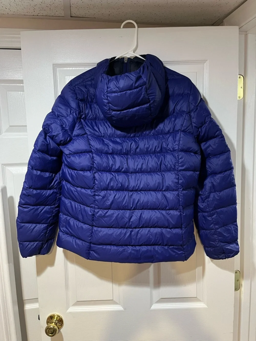Eddie Bauer Womens Hooded Lightweigt Puffer Jacket in Royal Blue - Picture 2 of 6